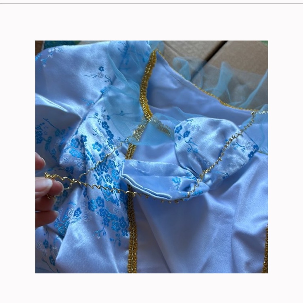 - Marie Antoinette costume - Picture 6 of 8